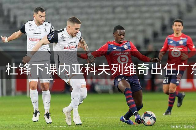 杜锋下课内亚科夫列维奇出任广东队主教练，胡明轩还能如鱼得水吗
